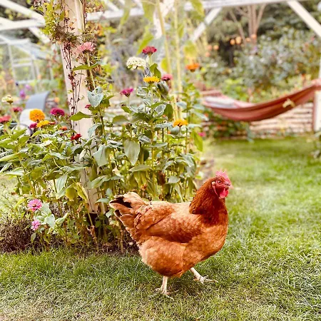 Διαμέρισμα Agroturystyka