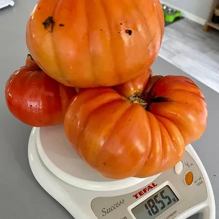 Agroturystyka Διαμέρισμα *
