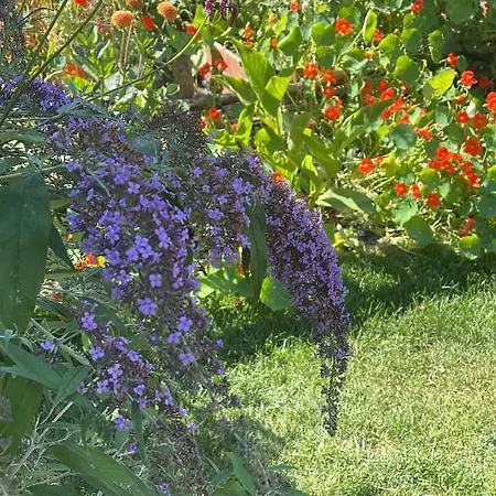 Agroturystyka Warzenko