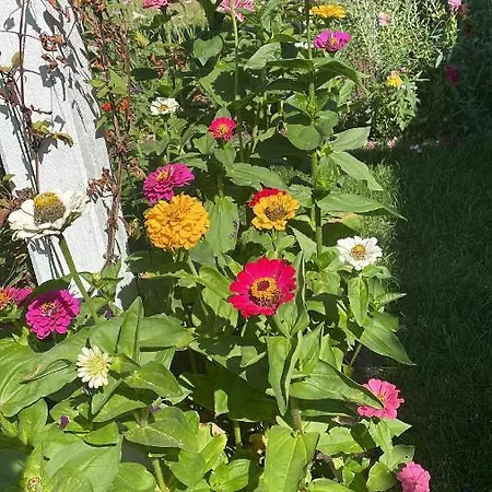 Agroturystyka *